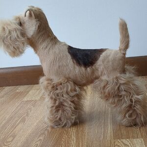 Dog Model Display, Terrior Breed, Lifelike Dog Pet